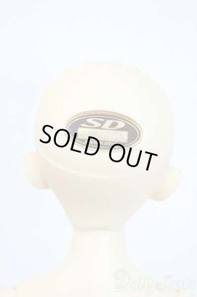 画像5: SDMGIRL/リズ Y-25-10-01-114-YD-ZY (5)