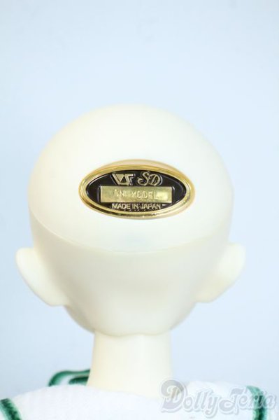 画像5: SDM/F-42コーディネートモデル Y-25-10-01-199-YD-ZY (5)