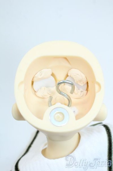 画像6: SDM女の子/F-61　コーディネートモデル Y-25-10-01-119-YD-ZY (6)