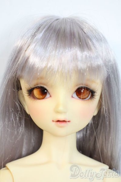 画像1: SDC/may Y-25-10-01-003-YD-ZY (1)