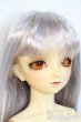 画像2: SDC/may Y-25-10-01-003-YD-ZY (2)