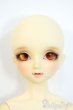 画像4: SDC/may Y-25-10-01-003-YD-ZY (4)