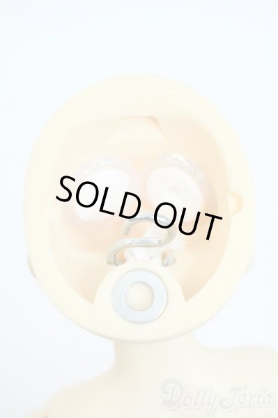 画像6: SDC/may Y-25-10-01-003-YD-ZY (6)