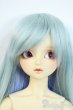 画像1: SDC/mina Y-25-10-01-002-YD-ZY (1)