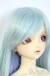 画像2: SDC/mina Y-25-10-01-002-YD-ZY (2)
