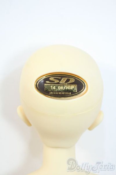 画像5: SDC/mina Y-25-10-01-002-YD-ZY (5)