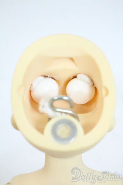 画像6: SDC/mina Y-25-10-01-002-YD-ZY (6)