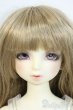 画像1: SDMBOY/フルチョイス女の子:F-46 Y-25-10-01-004-YD-ZY (1)
