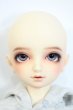 画像4: SDM男の子/F-55　フルチョイス Y-25-10-01-106-YD-ZY (4)