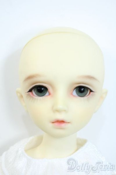 画像4: MSD/F-20ヘッド：フルチョイス Y-25-10-01-108-YD-ZY (4)