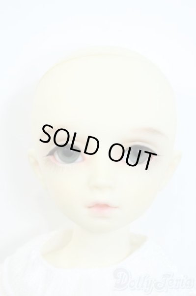 画像4: MSD/F-20ヘッド：フルチョイス Y-25-10-01-108-YD-ZY (4)