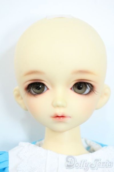 画像6: SDM/トッピ Y-25-10-01-116-YD-ZY (6)