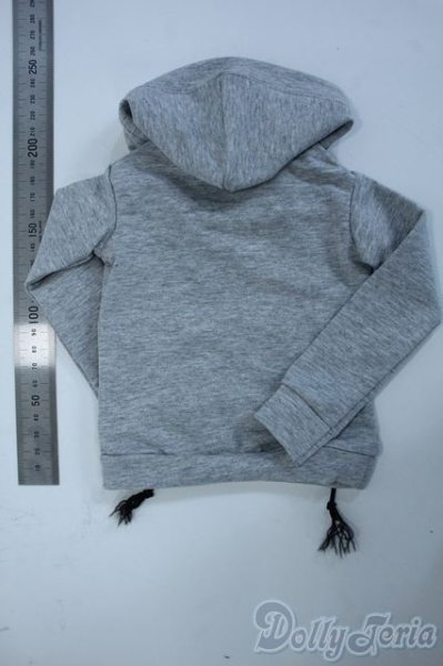 画像2: SD/OF:パーカー Y-25-09-17-113-YD-ZY (2)