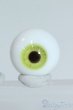 画像1: 15mm/グラスアイ Y-25-09-24-188-YD-ZY (1)