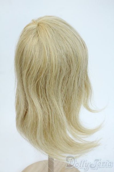 画像2: 8-9inch/ウィッグ Y-25-10-01-034-YD-ZY (2)