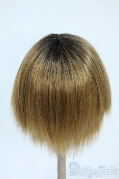 画像2: 9-10inch/ウィッグ Y-25-10-01-149-YD-ZY (2)