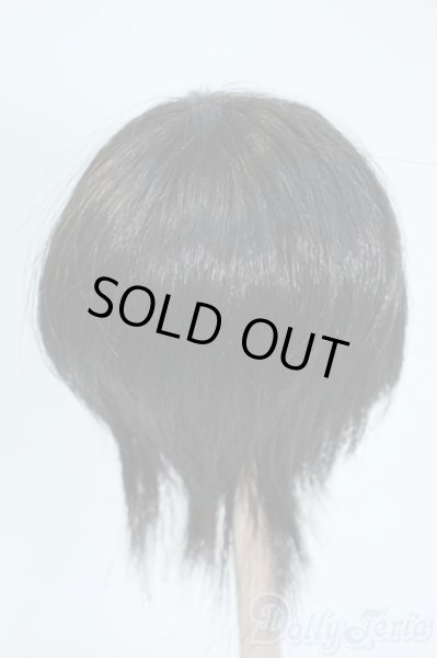 画像2: 7-8inch/ウィッグ Y-25-10-08-080-YD-ZY (2)