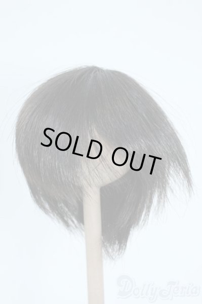 画像1: 8inch/ウィッグ Y-25-10-08-076-YD-ZY (1)