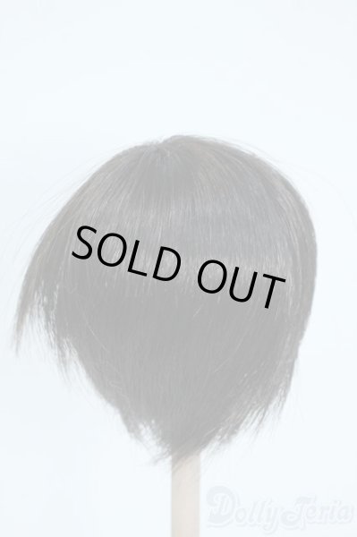 画像2: 8inch/ウィッグ Y-25-10-08-076-YD-ZY (2)