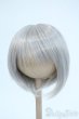 画像1: 8-9inch/ウィッグ Y-25-10-08-118-YD-ZY (1)