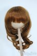 画像1: 8-9inch/ウィッグ Y-25-10-08-184-YD-ZY (1)