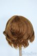 画像2: 8-9inch/ウィッグ Y-25-10-08-183-YD-ZY (2)