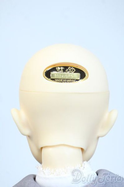 画像6: SDB/ミシェル 星間学寮Ver. ドルパ47 Y-25-10-08-189-YD-ZY (6)