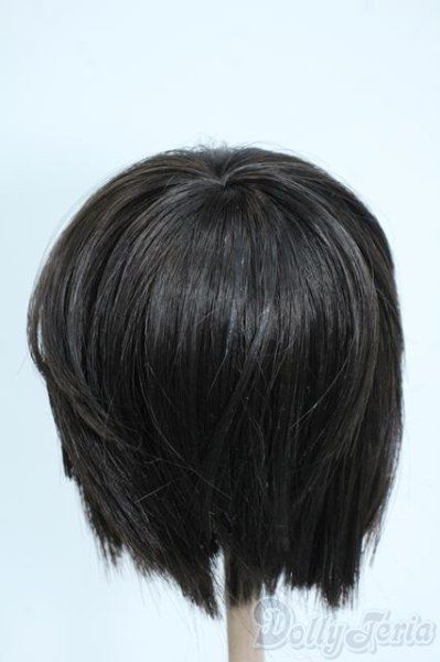 画像2: 8-9inch/ウィッグ Y-25-10-08-200-YD-ZY (2)