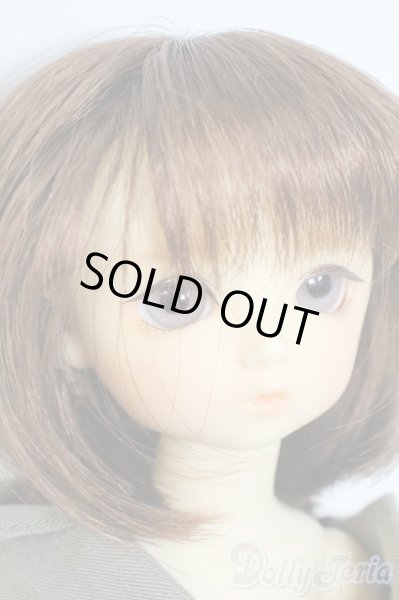 画像2: 幼SD/翔 SDオーナーズ感謝祭・夢のテーマパークホテルin東京2009 Y-25-10-15-059-YD-ZY (2)