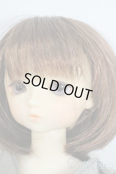 画像3: 幼SD/翔 SDオーナーズ感謝祭・夢のテーマパークホテルin東京2009 Y-25-10-15-059-YD-ZY (3)