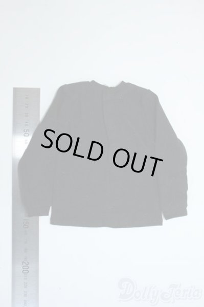 画像2: SDM＆MSD/OF:トップス Y-25-10-15-113-YD-ZY (2)