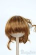 画像1: 7-8inch/ウィッグ Y-25-10-22-144-YD-ZY (1)