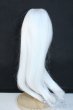 画像2: 8-9inch/ウィッグ Y-25-11-12-119-YD-ZY (2)