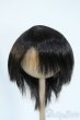 画像1: 8-9inch/ウィッグ Y-25-11-12-116-YD-ZY (1)