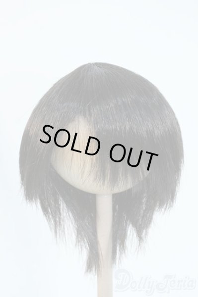 画像1: 8-9inch/ウィッグ Y-25-11-12-116-YD-ZY (1)