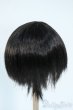 画像2: 8-9inch/ウィッグ Y-25-11-12-116-YD-ZY (2)