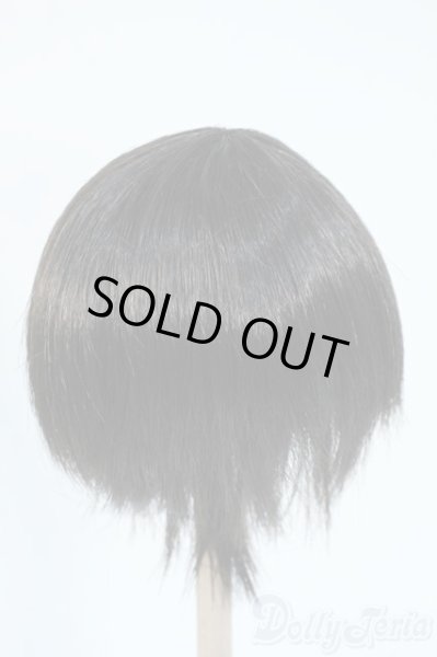 画像2: 8-9inch/ウィッグ Y-25-11-12-116-YD-ZY (2)