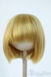 画像1: 8-9inch/ウィッグ Y-25-11-12-115-YD-ZY (1)