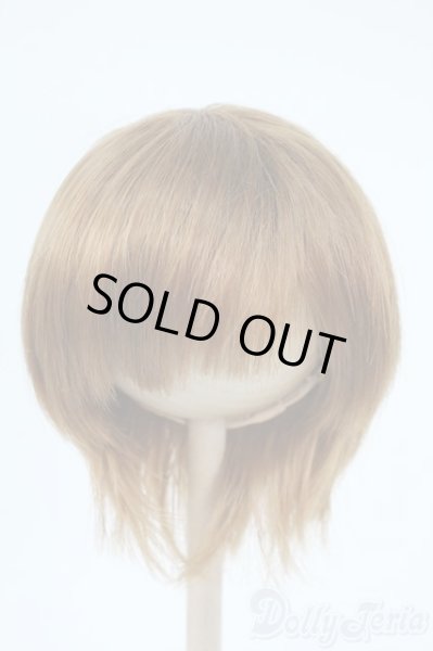 画像1: 8-9inch/ウィッグ Y-25-11-05-190-YD-ZY (1)