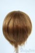 画像2: 8-9inch/ウィッグ Y-25-11-05-190-YD-ZY (2)