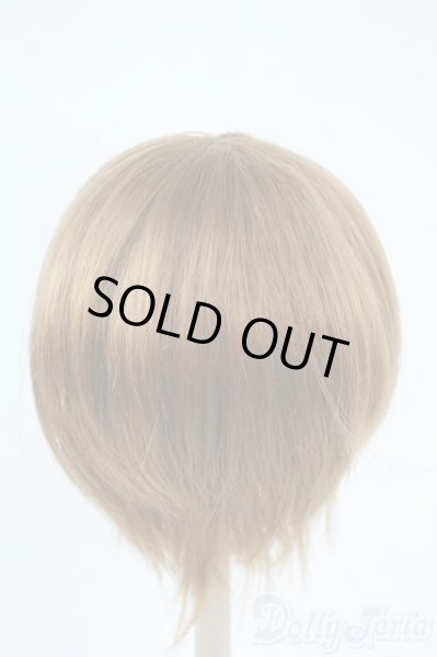 画像2: 8-9inch/ウィッグ Y-25-11-05-190-YD-ZY (2)