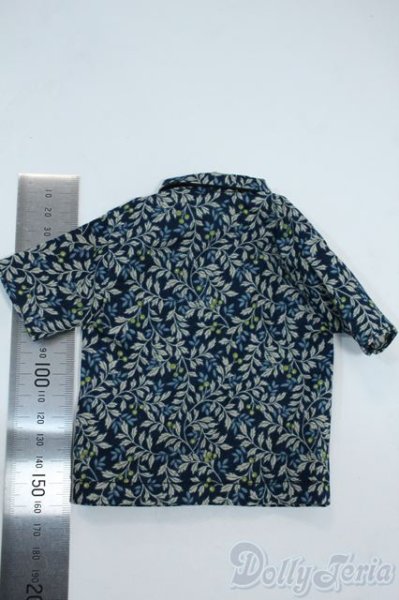 画像2: SDM＆MSD/OF:衣装セット Y-25-11-19-136-YD-ZY (2)