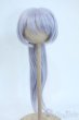 画像1: 9inch/ウィッグ Y-25-11-19-024-YD-ZY (1)