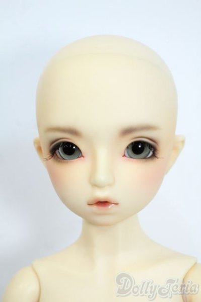 画像6: SDM/ダイ：スタンダードモデル Y-25-11-19-132-YD-ZY (6)