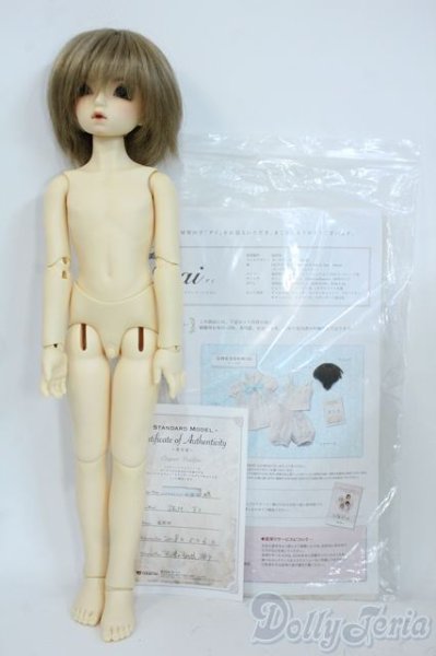 画像8: SDM/ダイ：スタンダードモデル Y-25-11-19-132-YD-ZY (8)