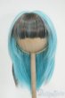 画像1: 8-9inch/ウィッグ Y-25-12-03-029-YD-ZY (1)
