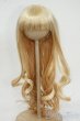 画像1: 8-9inch/ウィッグ Y-25-12-10-068-YD-ZY (1)