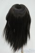 画像2: 8-9inch/ウィッグ Y-25-12-10-067-YD-ZY (2)