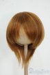 画像1: 8-9inch/ウィッグ Y-25-12-17-050-YD-ZY (1)