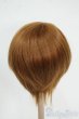 画像2: 8-9inch/ウィッグ Y-25-12-17-050-YD-ZY (2)